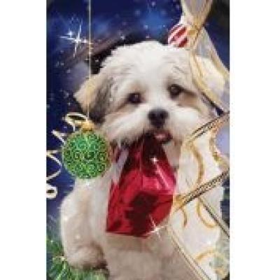 Mini kartka 3d świąteczny pies