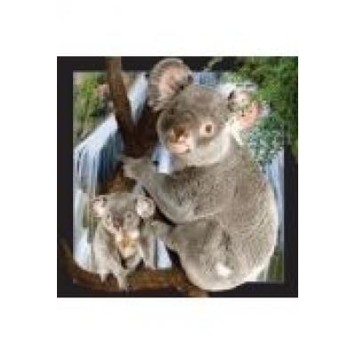 Magnes 3d koala