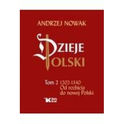 Dzieje polski. tom 2. od rozbicia do nowej polski