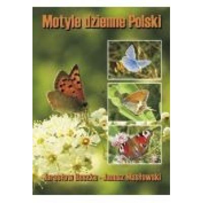 Motyle dzienne polski