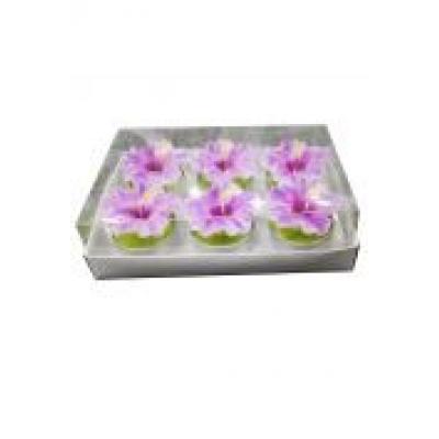 Zestaw 6 świeczek kaktusów z kwiatem orchidei