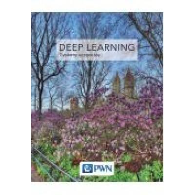 Deep learning współczesne systemy uczące się