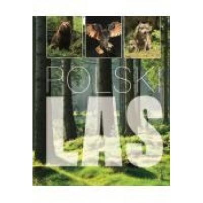 Polski las
