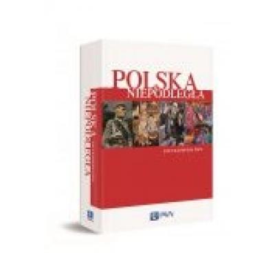 Polska niepodległa encyklopedia pwn