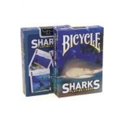 Bicycle: sharks