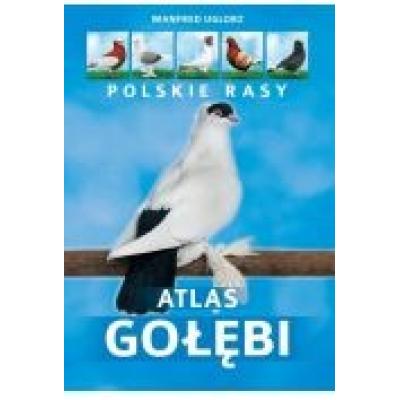 Atlas gołębi. polskie rasy