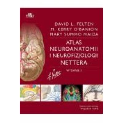 Atlas neuroanatomii i neurofizjologii nettera