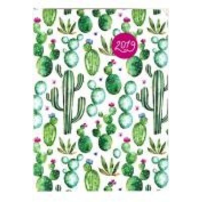 Kalendarz dzienny di1 2019 kaktusy