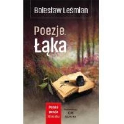Polska poezja xxw. poezje. łąka