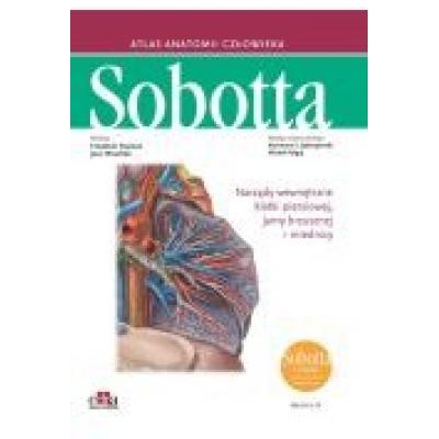 Atlas anatomii człowieka sobotta łacińskie mianownictwo. tom 2