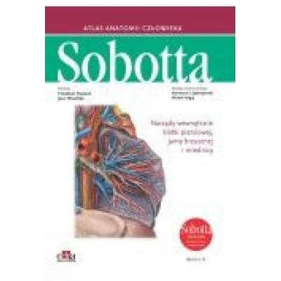 Atlas anatomii człowieka sobotta. angielskie mianownictwo. tom 2.