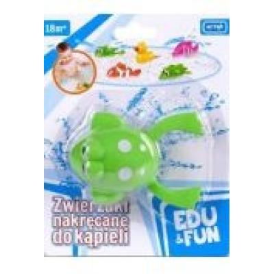 Zabawka do wody - zielona żabka edu&fun