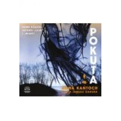 Pokuta audiobook