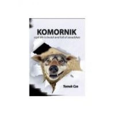 Komornik czyli life is brutal and full of zasadzkas