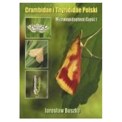 Crambidae i thyrididae polski
