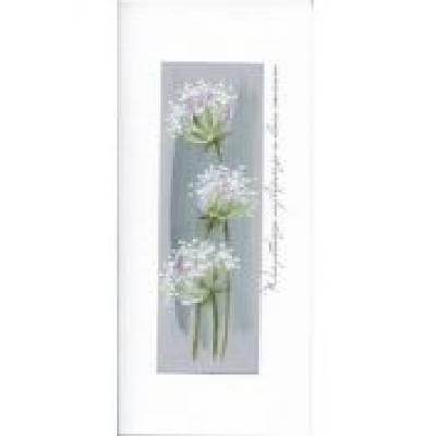 Karnet imieniny i 03 - białe kwiaty