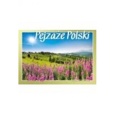 Kalendarz 2021 rodzinny pejzaże polski wl3