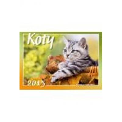 Kalendarz 2021 rodzinny koty i kotki wl9