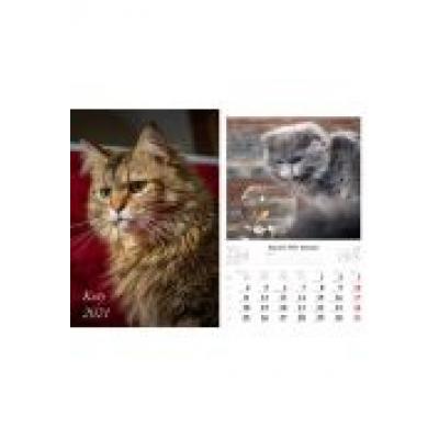 Kalendarz 2021 koty 13 planszowy radwan