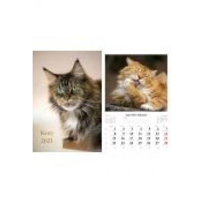 Kalendarz 2021 koty 7 planszowy radwan
