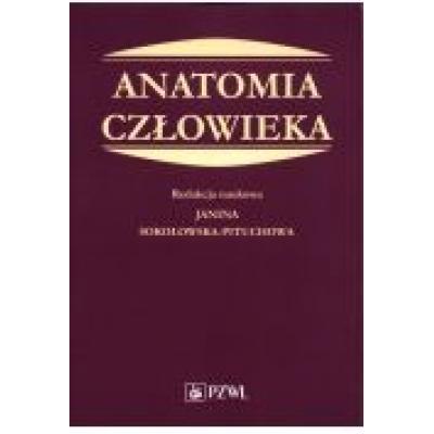 Anatomia człowieka podręcznik dla studentów medycyny
