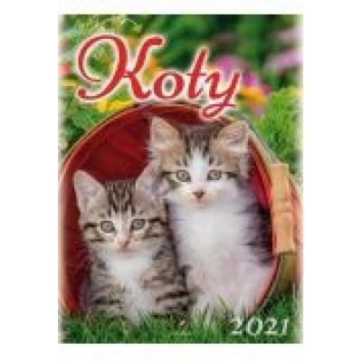 Kalendarz 2021 ścienny koty artsezon