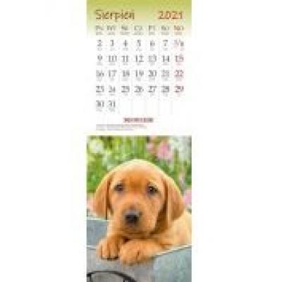 Kalendarz 2021 ścienny pocztówkowy psy artsezon