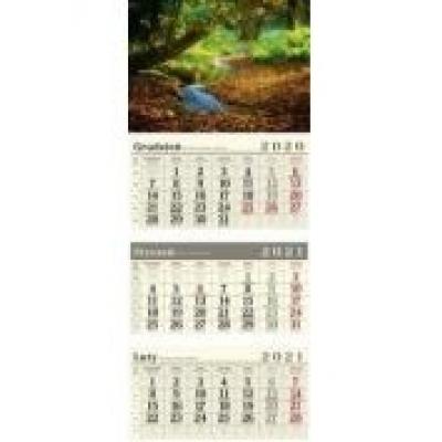 Kalendarz 2021 trójdzielny las crux
