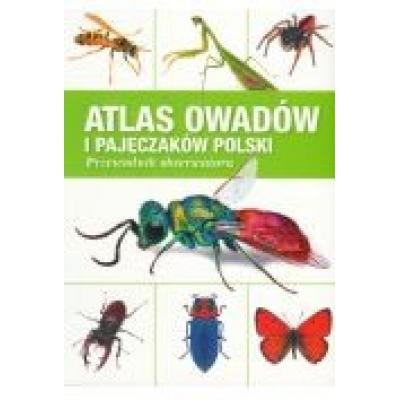 Atlas owadów i pajęczaków. polski przewodnik obserwatora