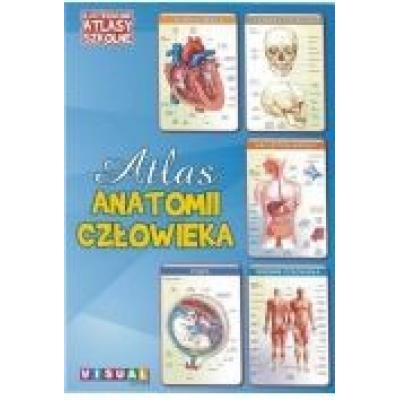 Ilustrowany atlas szkolny.atlas anatomii człowieka