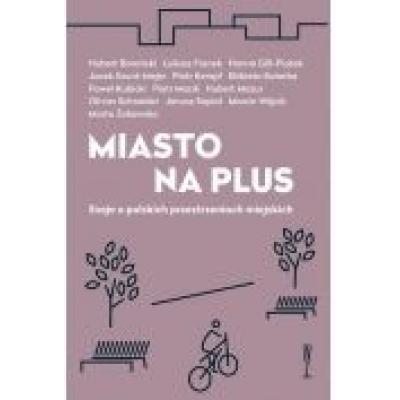 Miasto na plus. eseje o polskich przestrzeniach miejskich