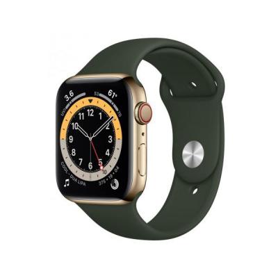 APPLE Watch Series 6 GPS + Cellular, 40mm Gold Stainless Steel Case with Cyprus Green Sport Band - Regular