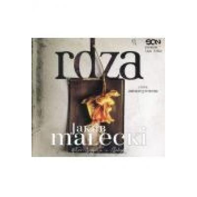 Rdza (audiobook)