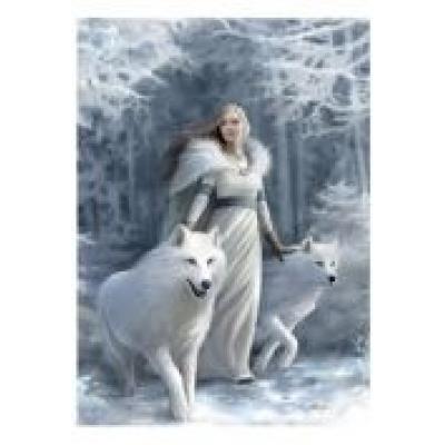 Puzzle 1000 anne stokes collection winter guardian