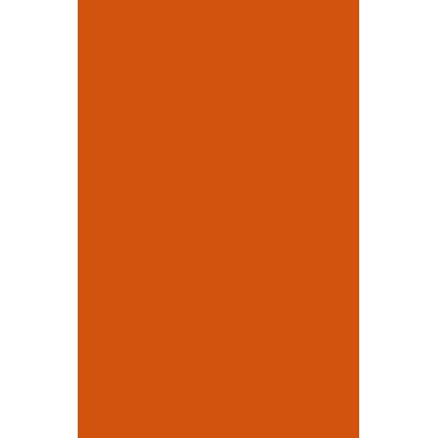 Koszulka darex 140 "l" ciemnopomarańczowy 24h rozmiar: l, kolor: pomarańczowy, darex