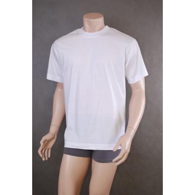 T-shirt szata męski rozmiar: xl, kolor: biały, szata