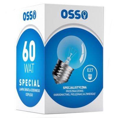 Żarówka OSSO 60W G45 E27 Special