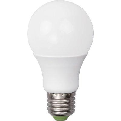 Żarówka LED DPM LED-A60-12W-E27 Ciepłe