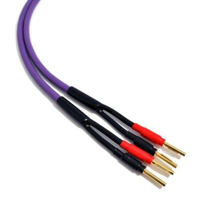 Kabel głośnikowy MELODIKA MDSC1550 5m Purple Rain