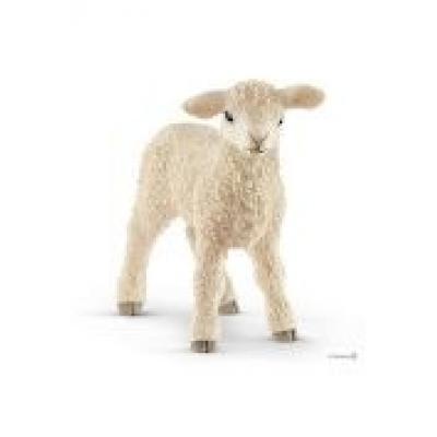 Mała owieczka