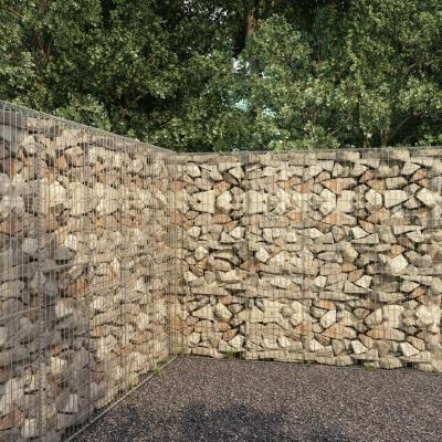 Emaga vidaxl ściana gabionowa z pokrywą, galwanizowana stal, 300x50x200 cm