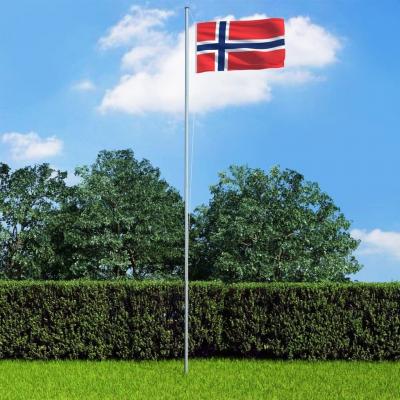 Emaga vidaxl flaga norwegii z aluminiowym masztem, 6,2 m