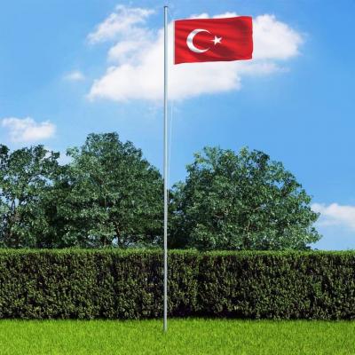 Emaga vidaxl flaga turcji z aluminiowym masztem, 6,2 m