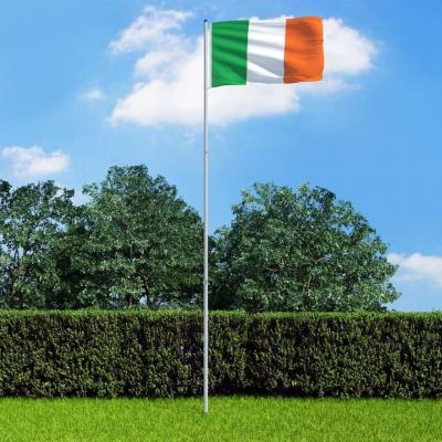 Emaga vidaxl flaga irlandii z aluminiowym masztem, 6 m
