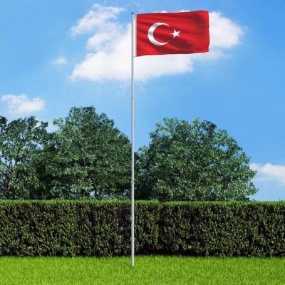 Emaga vidaxl flaga turcji z aluminiowym masztem, 6 m