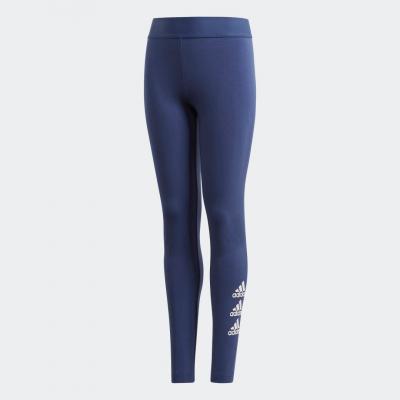 Must haves badge of sport tights