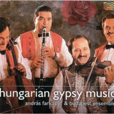 Hungarian Gypsy Music Andras Farkas Jr