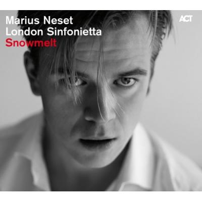 MARIUS NESET Snowmelt