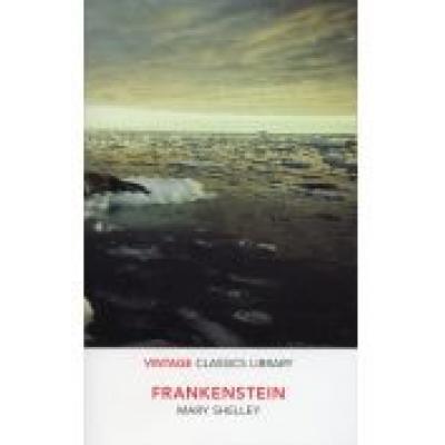 Frankenstein (vintage classics library)