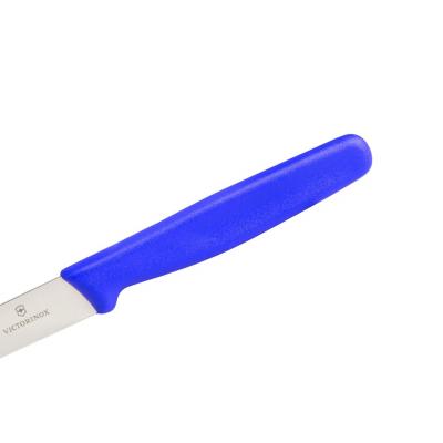 Nóż kuchenny victorinox standard paring blue (5.0702)